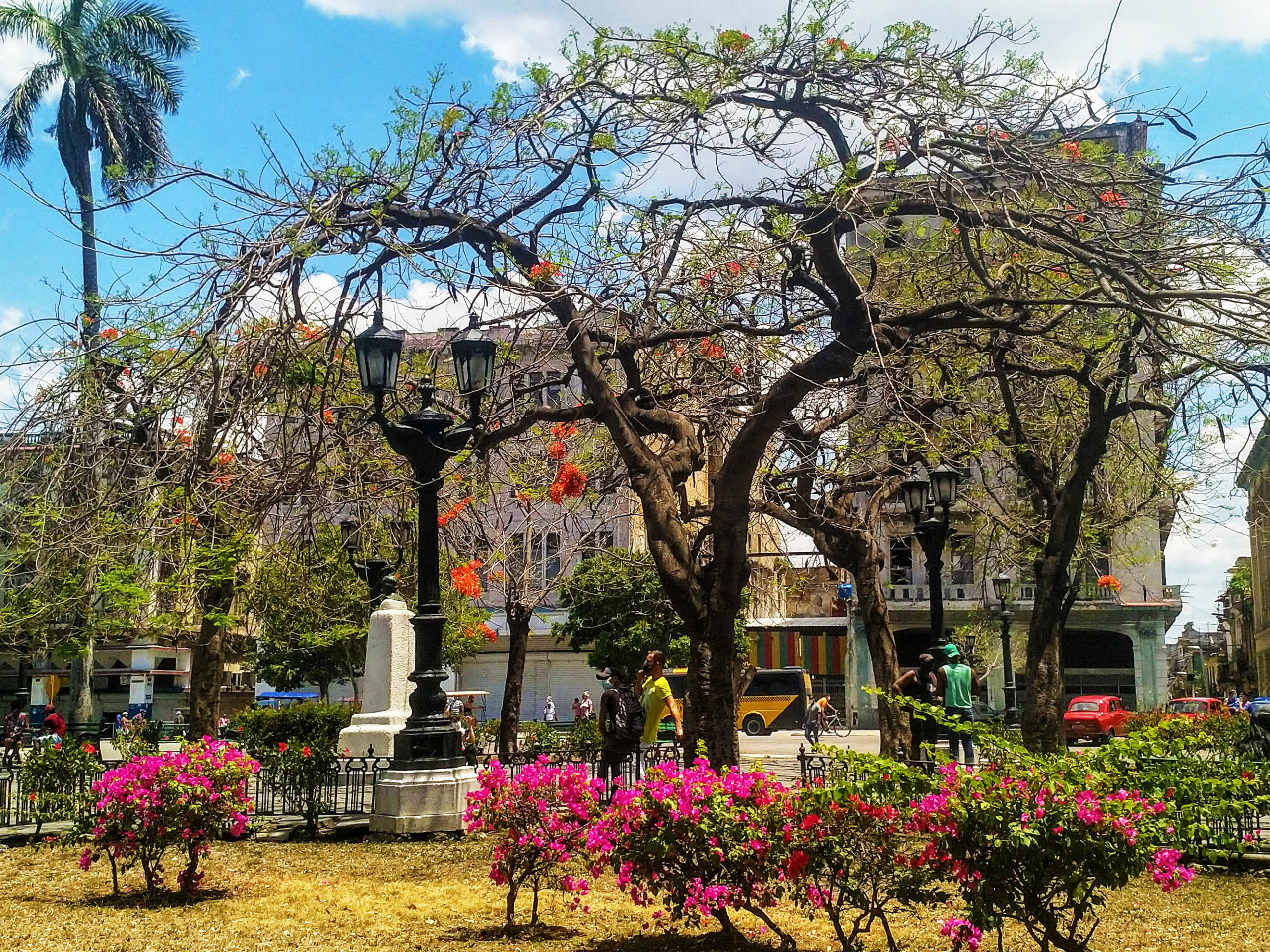 Parque de la Fraternidad parki w Hawanie