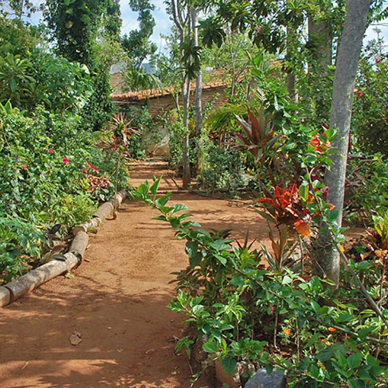 co należy zrobić w Viñales Jardín Botánico