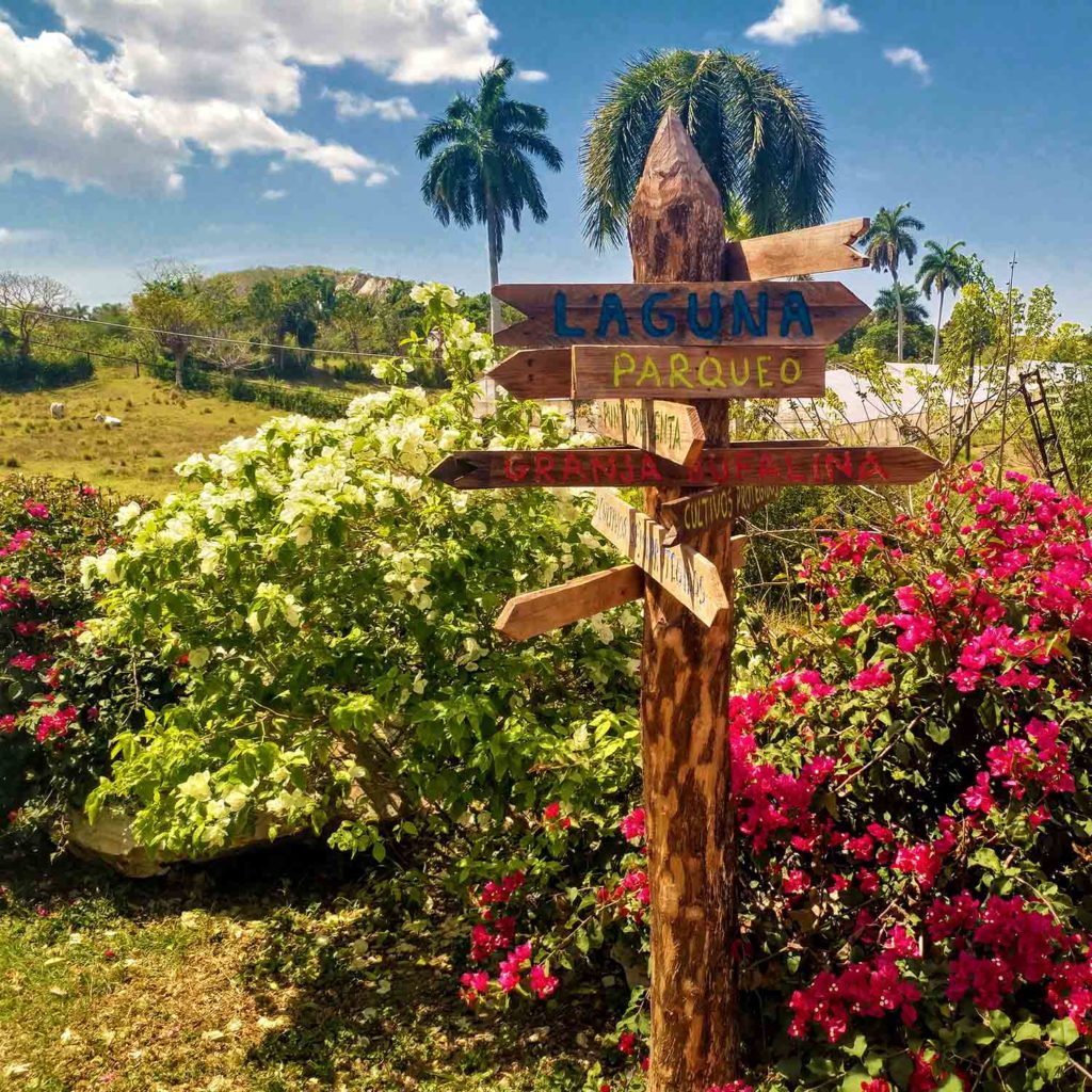 Finca Vista Hermosa w Hawanie Kuba