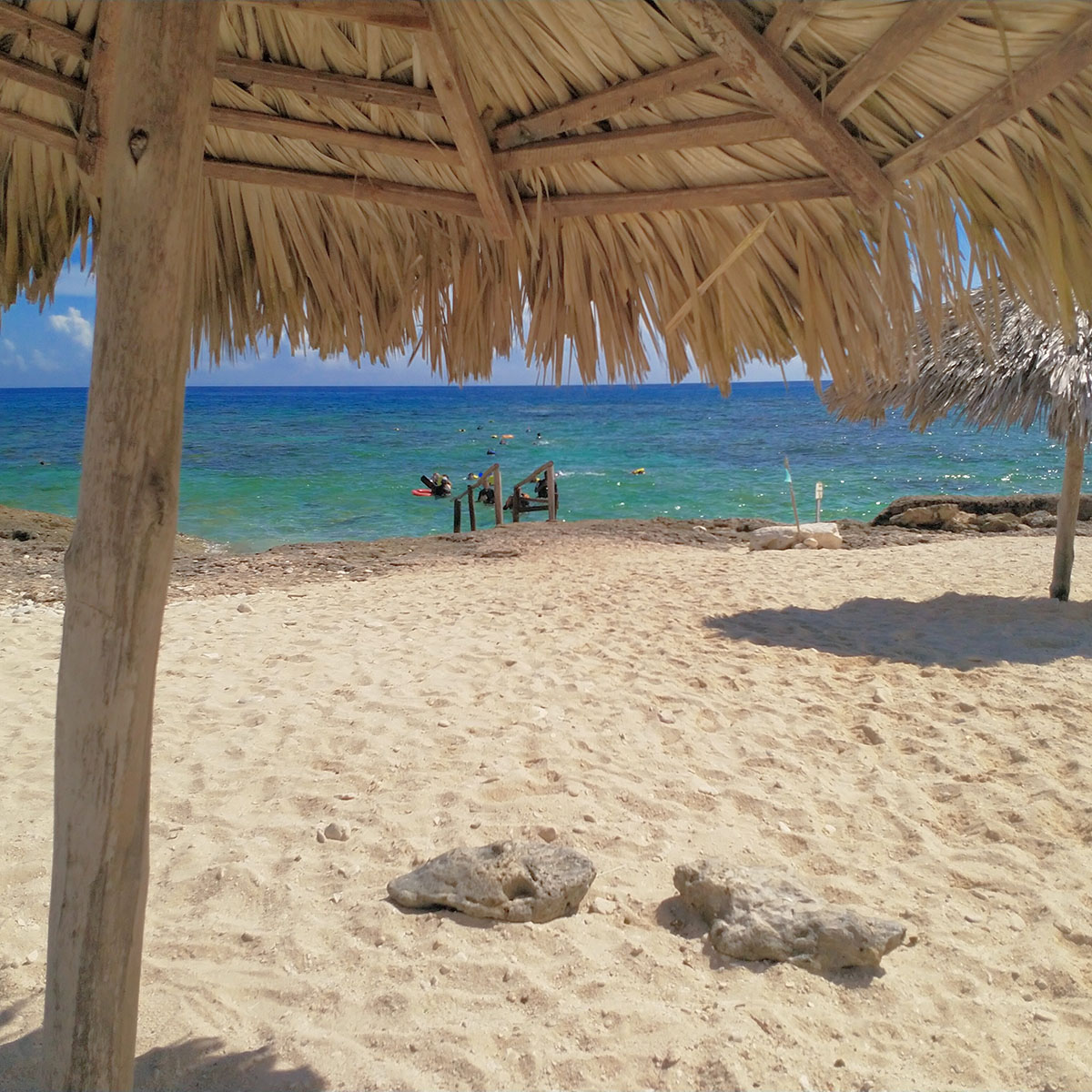 Całodniowa wycieczka z Hawany do Varadero Playa Coral