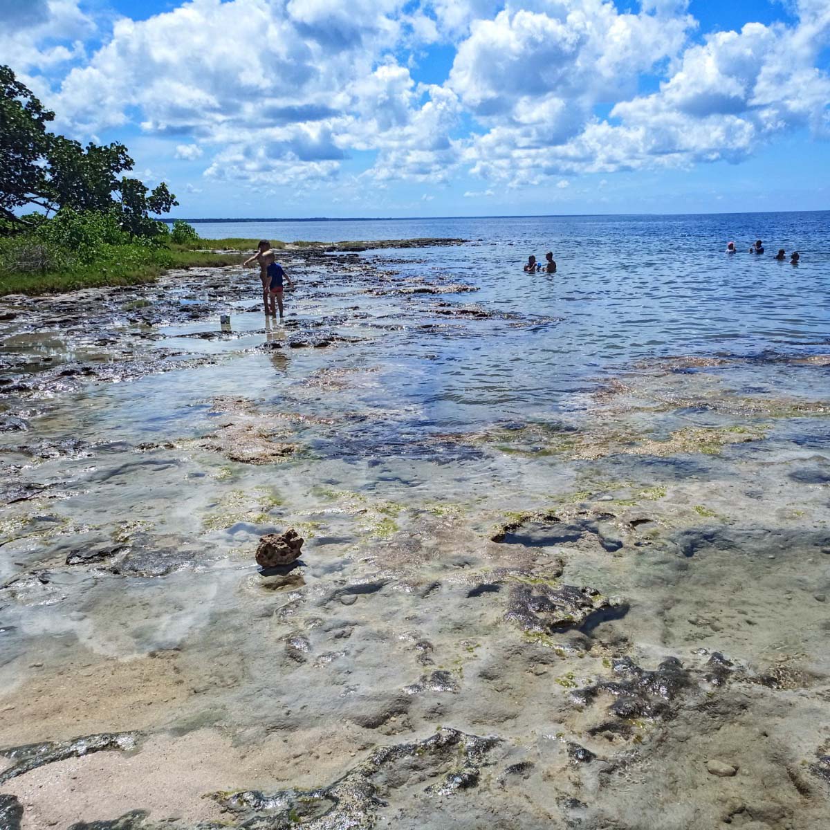 Wycieczka do Zatoki Świń Półwysep Zapata Playa Larga