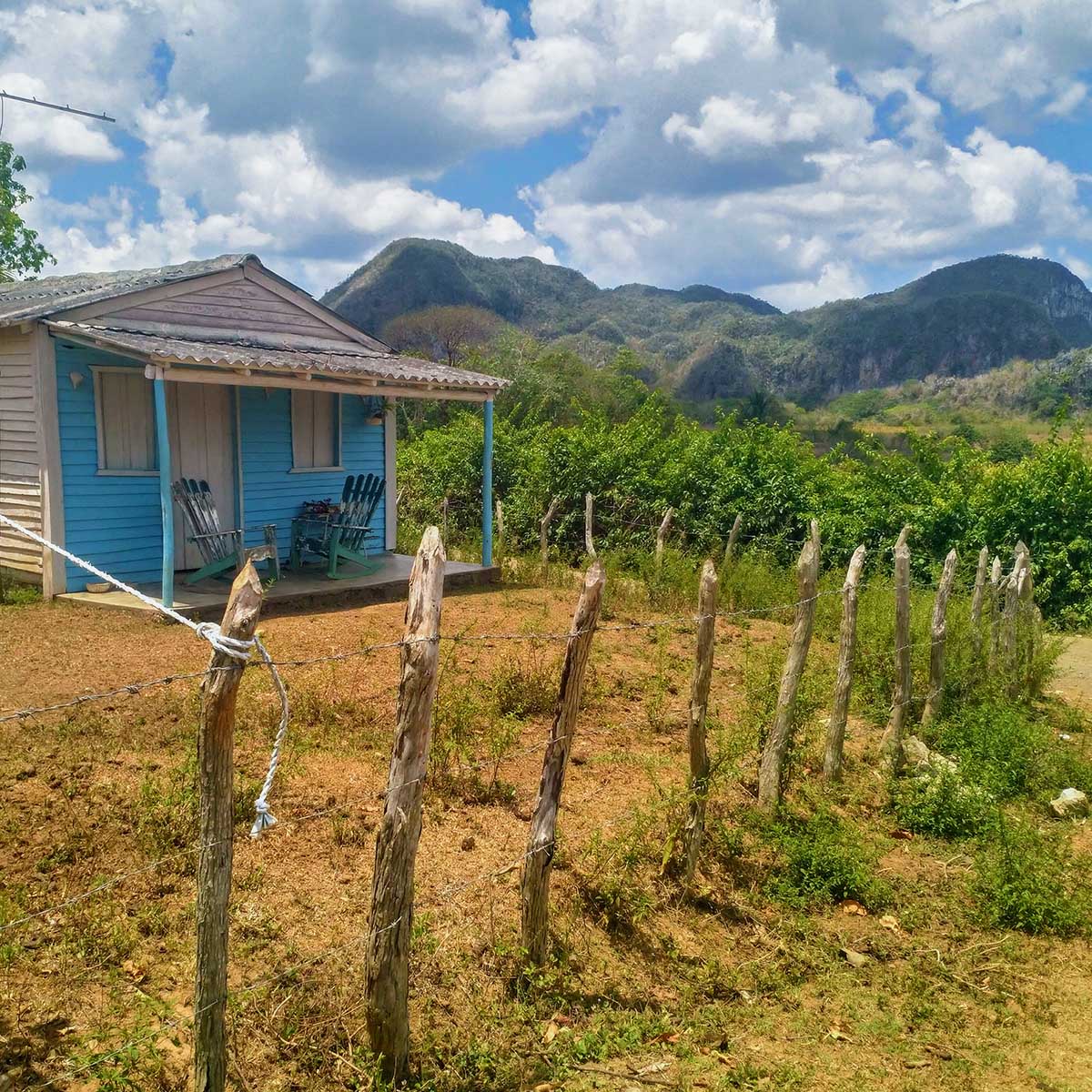 Plantacja tytoniu w Viñales Finka Esmeralda