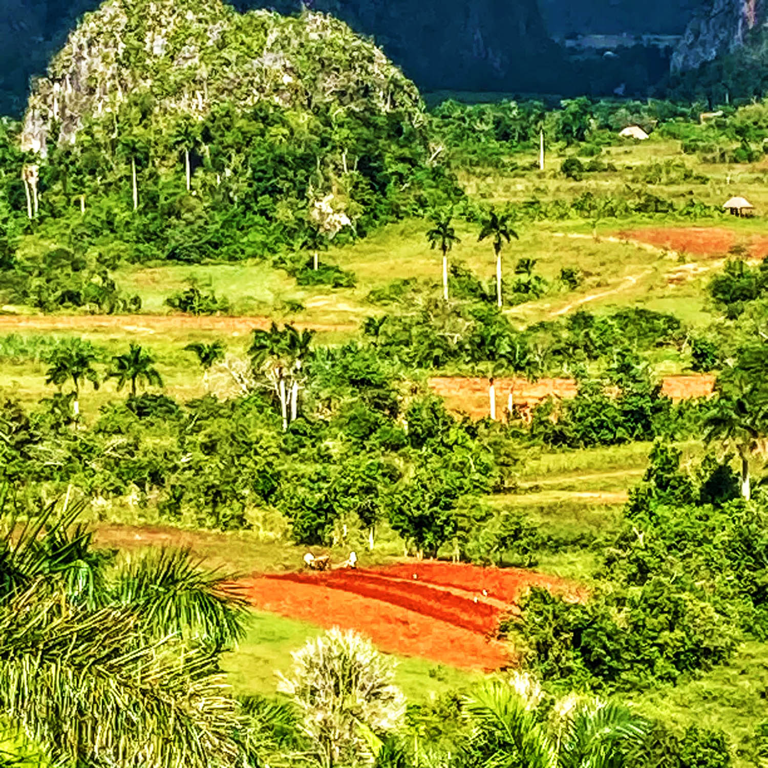 Całodniowa wycieczka z Hawany do Viñales